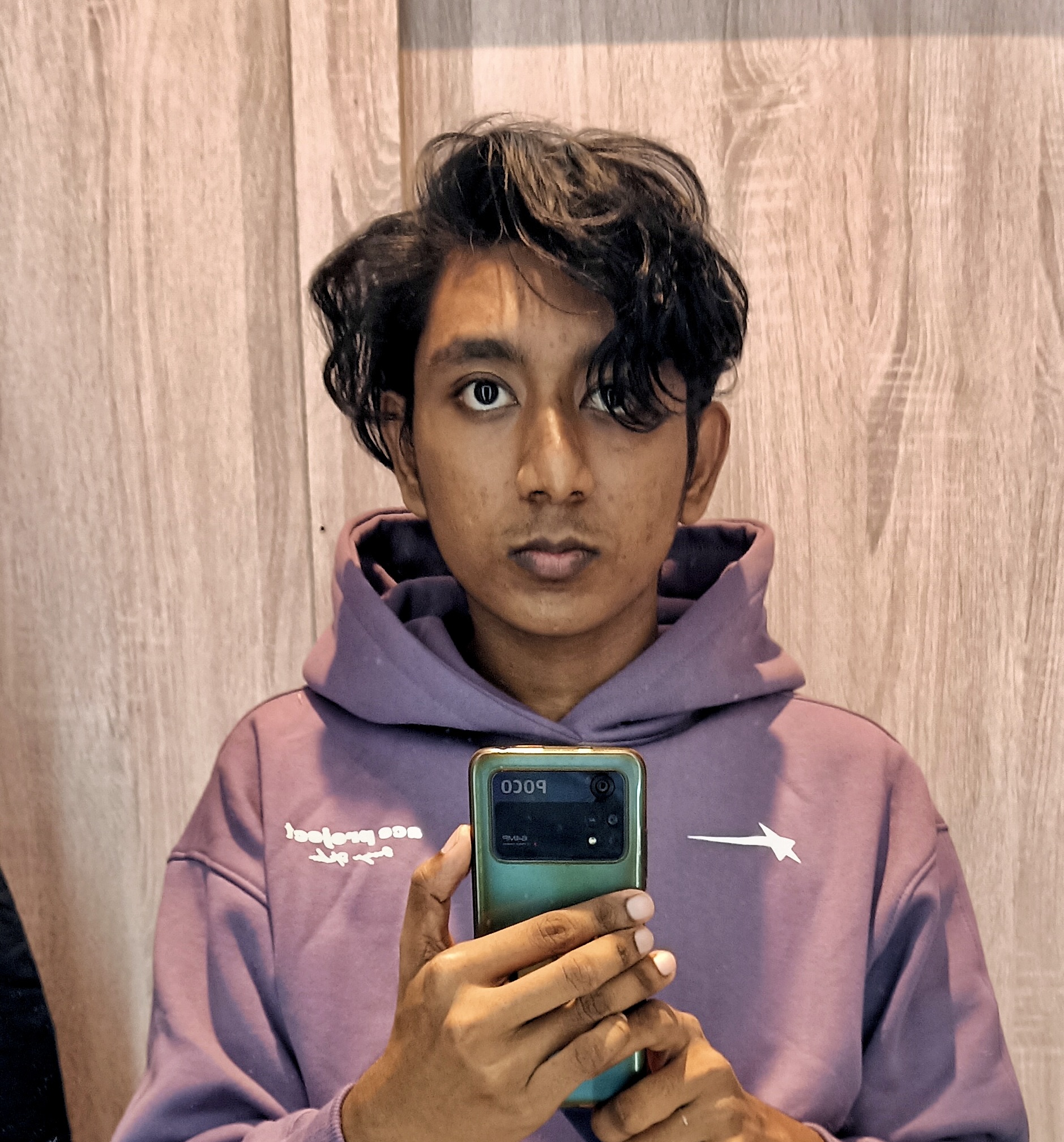 Profile Picture of Mohammed Shamseer, Flutter Developer